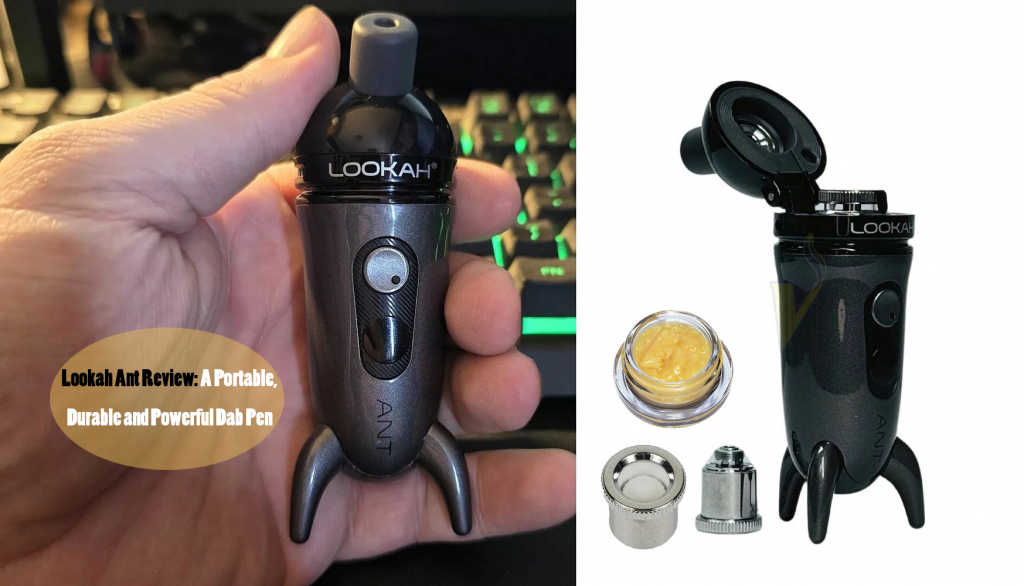 Lookah Ant Review