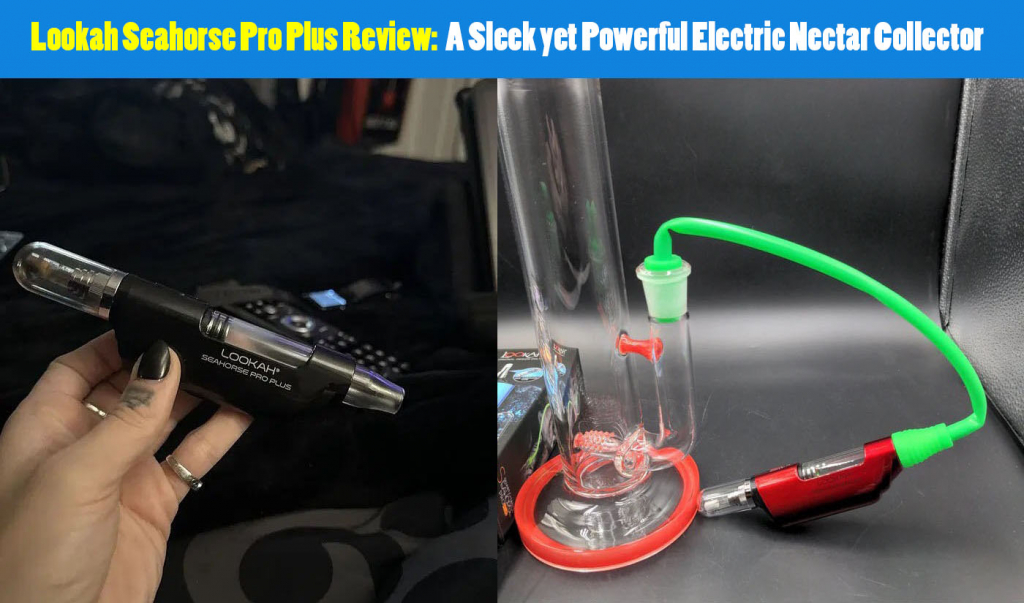 lookah seahorse pro plus review